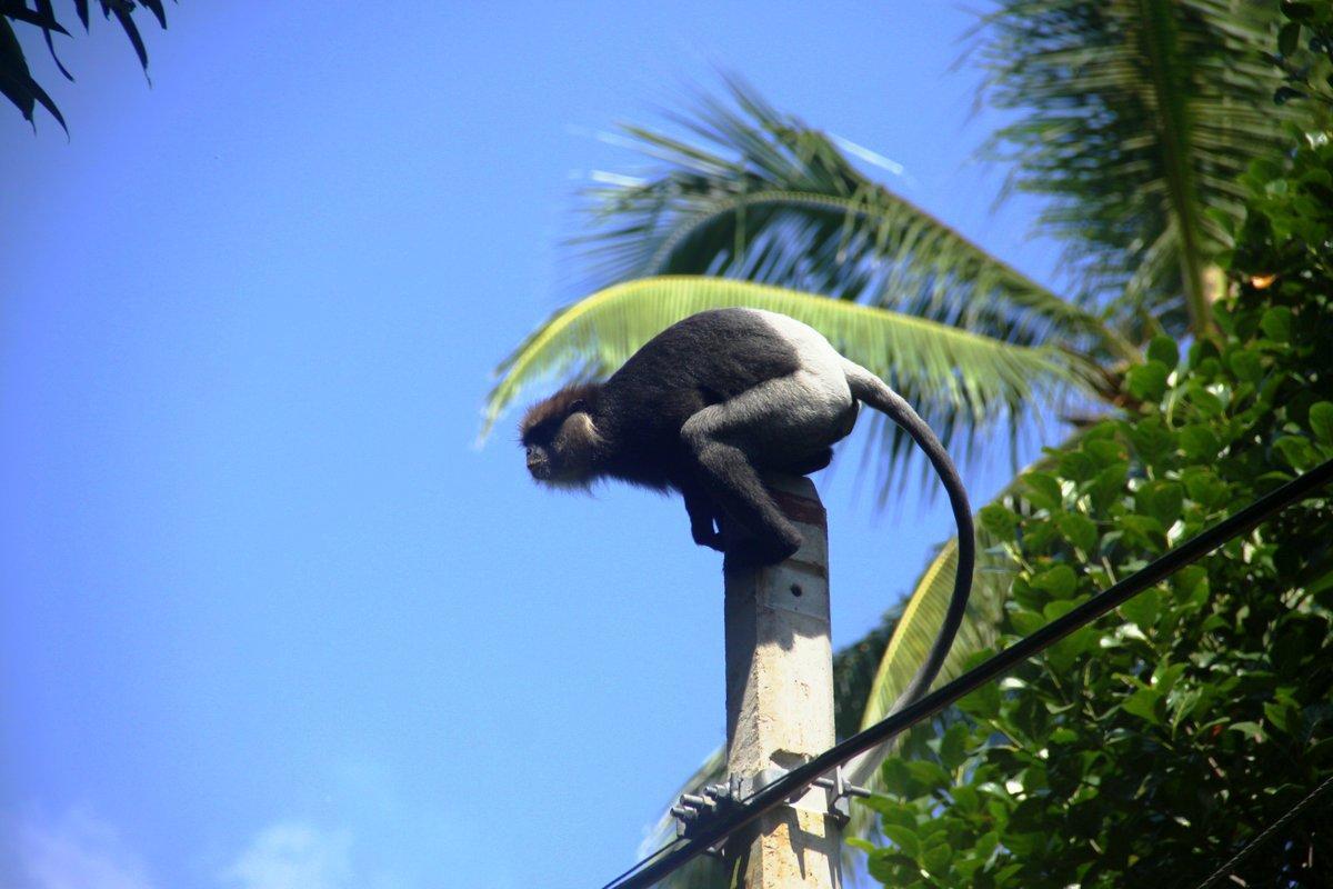 Villa Kaetana Lanka Unawatuna Exteriér fotografie